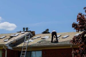 Mature tree branches shade a shingled roof with leaves gathered in a nearby gutter.